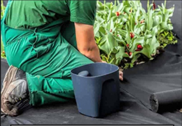 Non Woven Fabric Roll لفة قماش غير منسوج