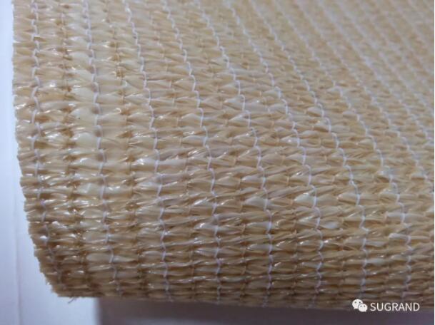 v14 الإصدار 14