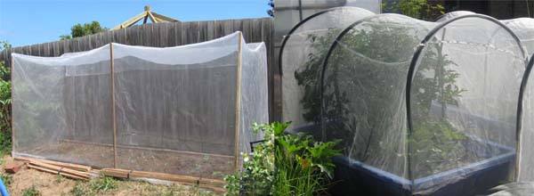 anti insect net شبكة مكافحة الحشرات