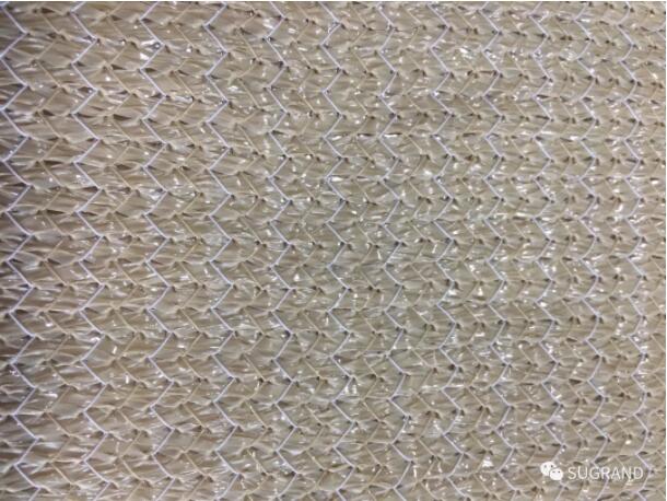 v13 الإصدار 13