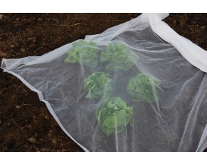 greenhouse insect net شبكة حشرات الدفيئة