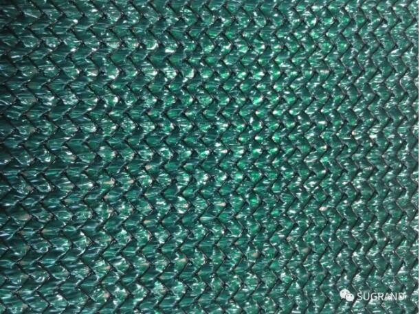 v12 الإصدار 12