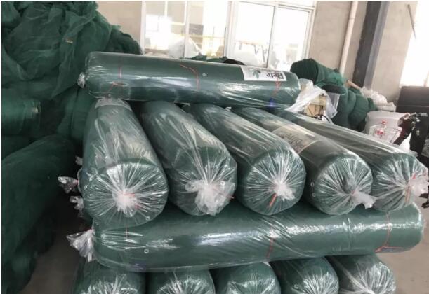 olive net7 شبكة الزيتون 7