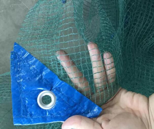 olive net10 شبكة الزيتون 10