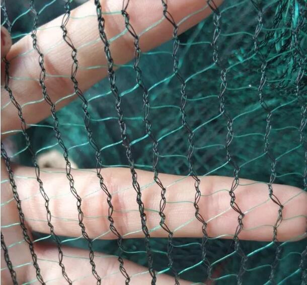 olive net9 شبكة الزيتون 9