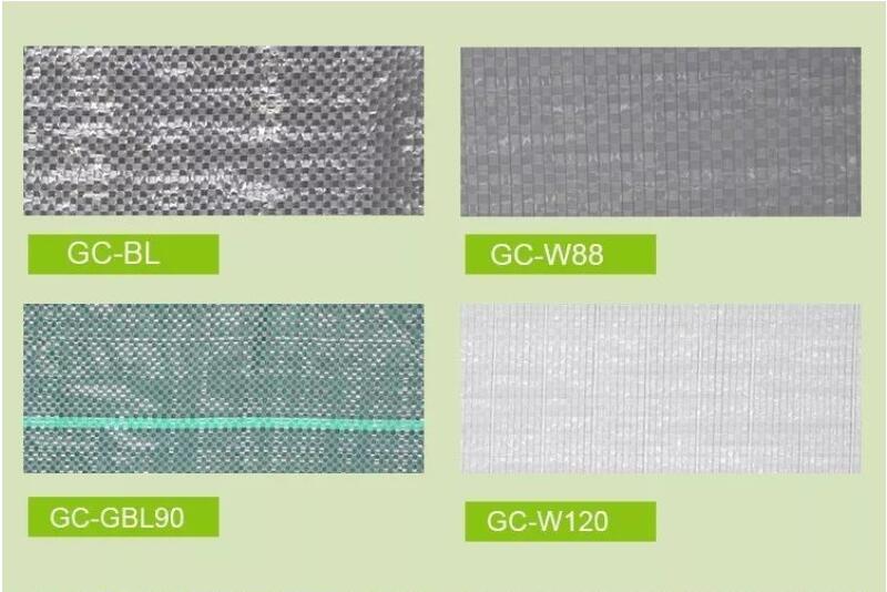 ground cover الغطاء الأرضي