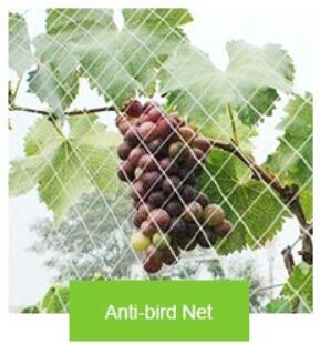 anti bird net شبكة مكافحة الطيور