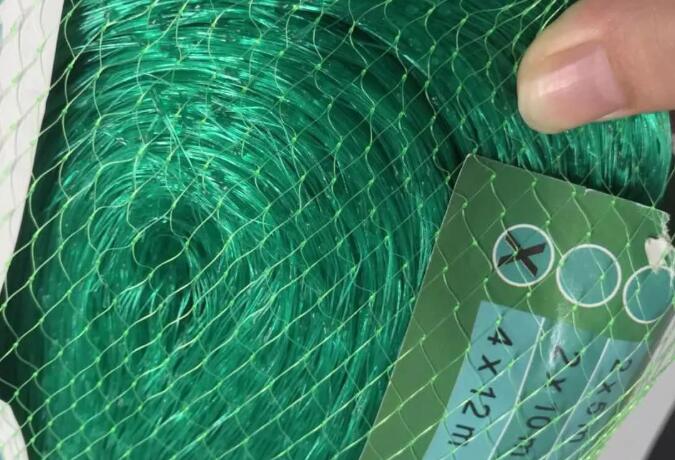 bird net2 شبكة الطيور 2