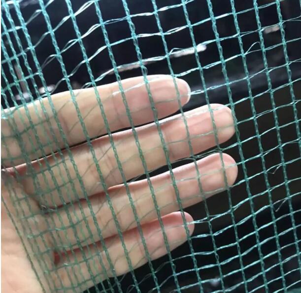 olive net8 شبكة الزيتون 8