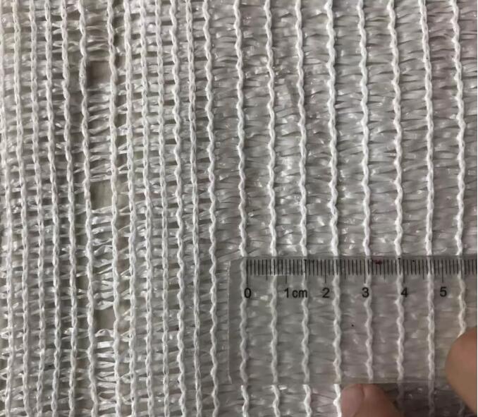 olive net19 شبكة الزيتون 19