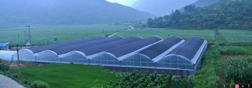 greenhouse shade net شبكة الظل الدفيئة