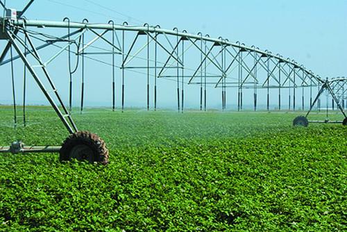 agriculture plastic net شبكة بلاستيكية للزراعة