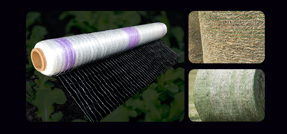 bale net8 شبكة بالة 8