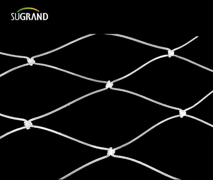 nylon fish net 2 شبكة صيد النايلون 2