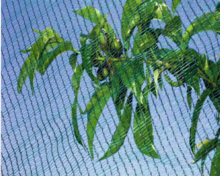 hail netting for gardens wholesale حماية من البرد للحدائق بالجملة