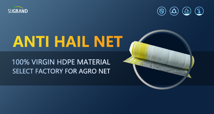 hail netting for vineyards البرد المعاوضة لمزارع الكروم