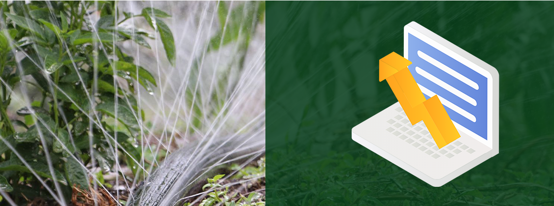 Drip Irrigation6 الري بالتنقيط 6