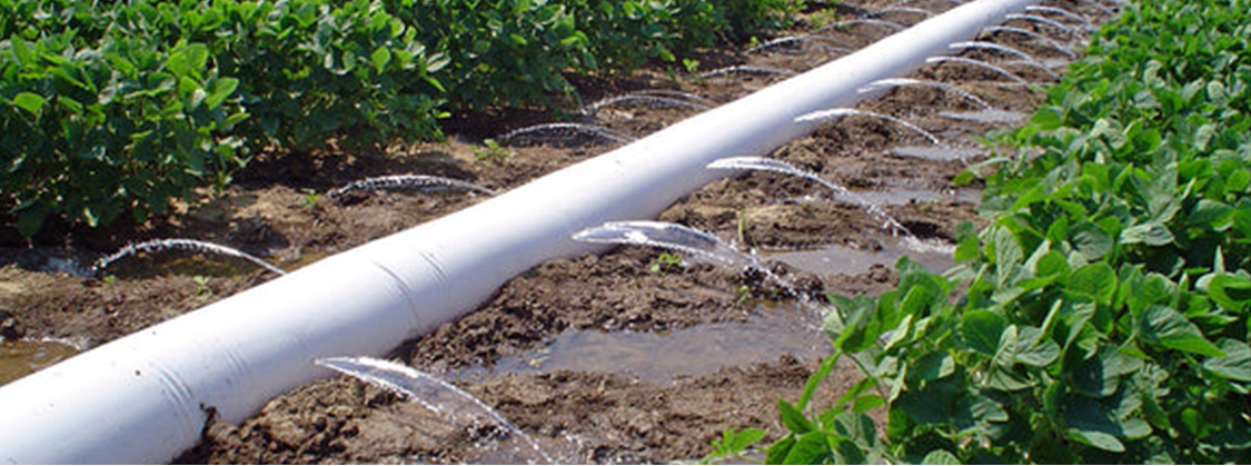 Drip Irrigation3 الري بالتنقيط 3