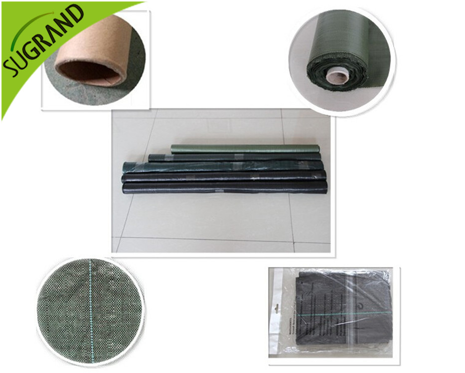 black ground cover غطاء أرضي أسود