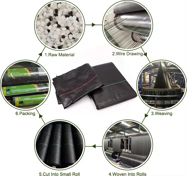 ground cover bulk الغطاء الأرضي الجزء الأكبر