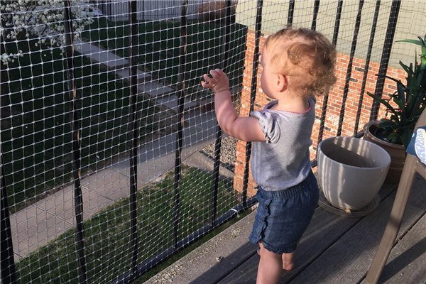 BOP شبكة البثق