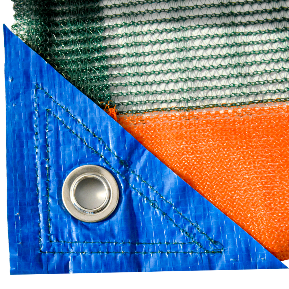 شبكات الزراعة الزيتون 