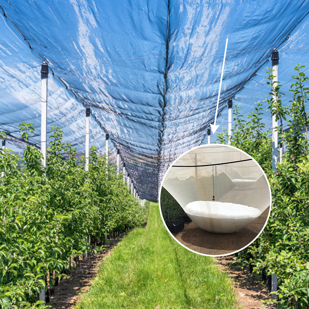 توريد المصنع مباشرة 4 مم × 5 مم شبكة حائل للحديقة