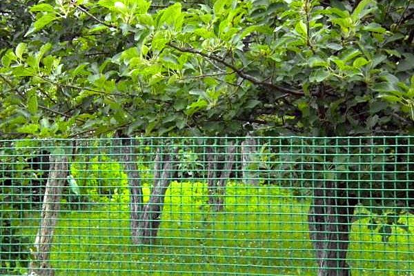 BOP شبكة البلاستيك