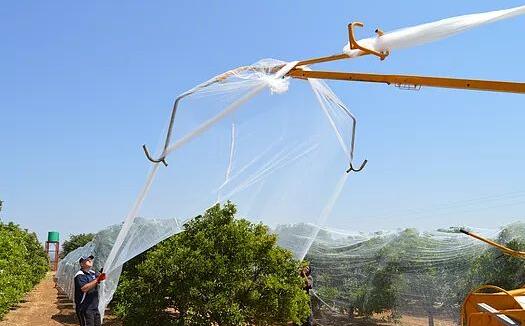 النقاط الرئيسية لتركيب شبكة الظل الصيفية