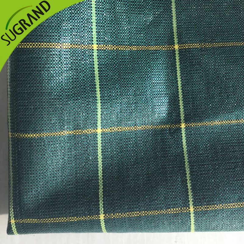 غطاء أرضي عالي الجودة 130GSM/حصيرة الأعشاب