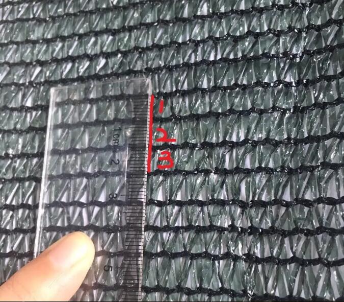 شبكة الزيتون 17