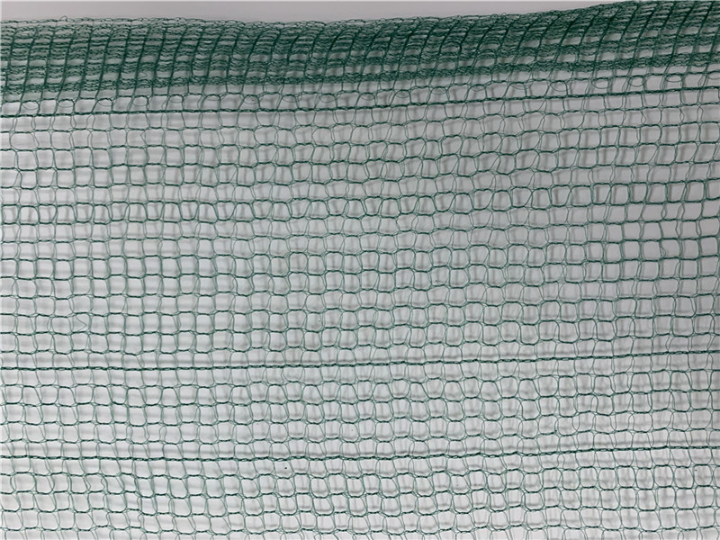 قطف الزيتون الأخضر الفاكهة مربع الحصاد 32GSM صافي