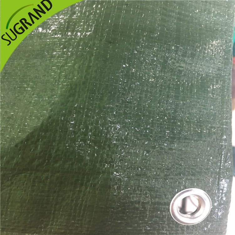 غطاء أرضي أخضر 150GSM للحدائق