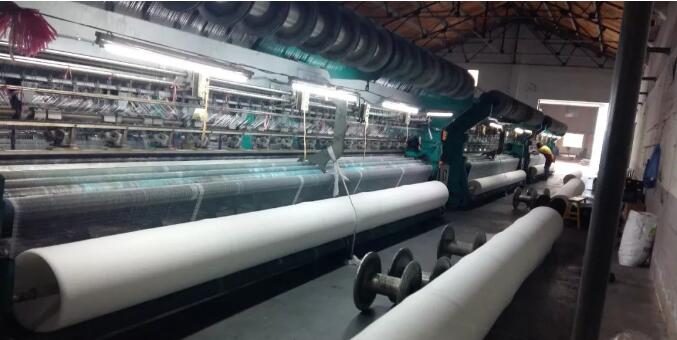 شبكة النحل 3