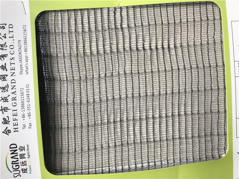 شبكة النحل - 50 مليار (1)