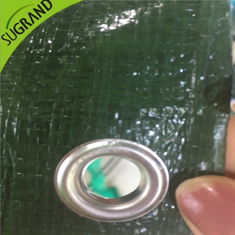 غطاء أرضي أخضر 150GSM للحدائق