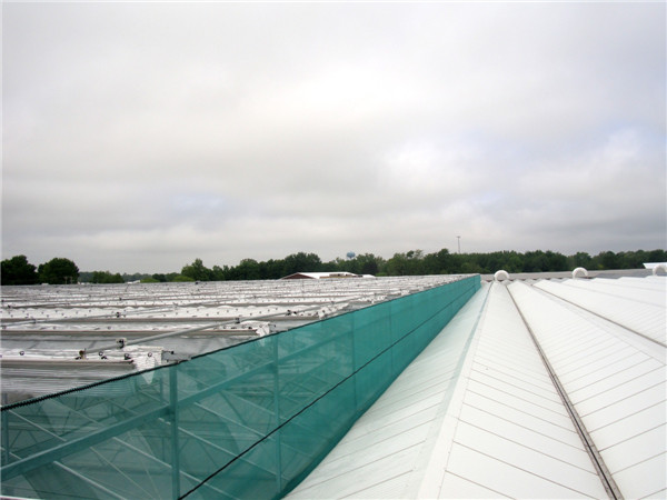 البولي إيثيلين الظل صافي قوة عالية ومقاومة الشيخوخة