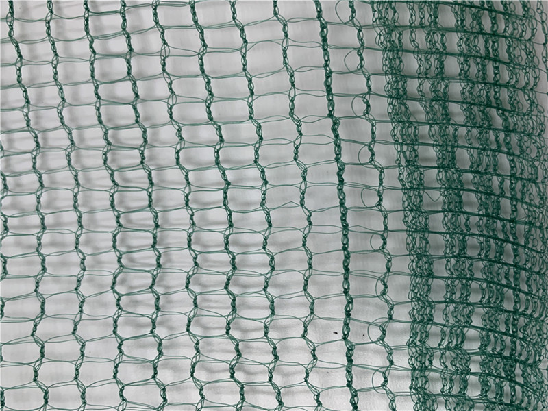 قطف الزيتون الأخضر الفاكهة مربع الحصاد 32GSM صافي