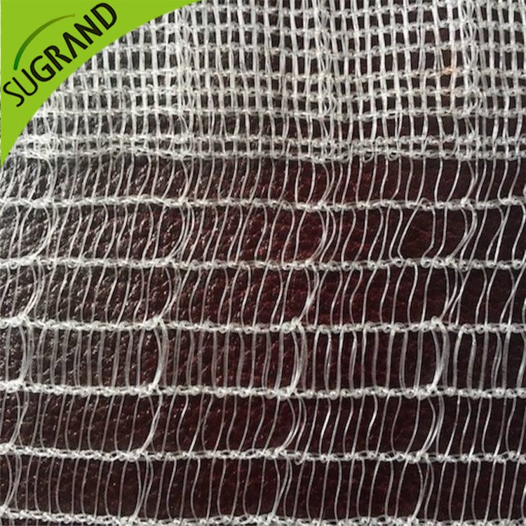 شبكة شفافة لمكافحة النحل على الإنترنت