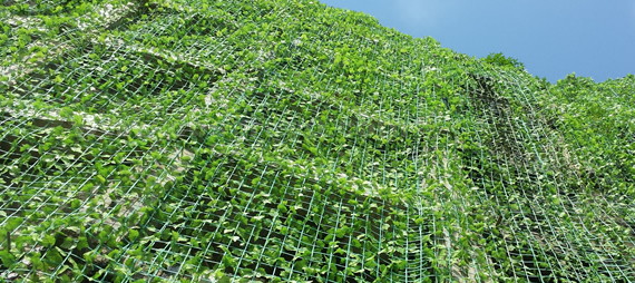 ما هي المواد المستخدمة لجعل شبكة الطيور وشبكة دعم النبات؟