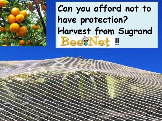 حصاد برتقالي بدون بذور من Sugrand Netting Bee Netting