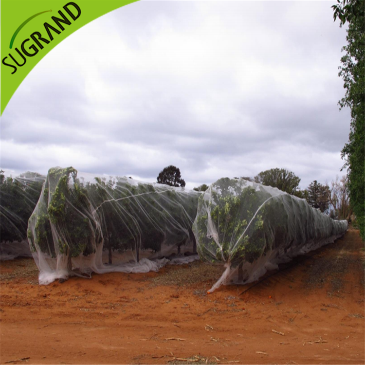 شبكة شفافة لمكافحة النحل على الإنترنت