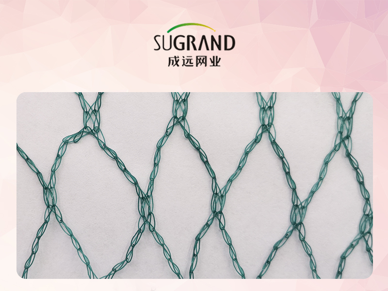 ما هي أفضل مادة لشبكة الطيور في بركة السمك