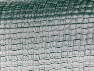 قطف الزيتون الأخضر الفاكهة مربع الحصاد 32GSM صافي