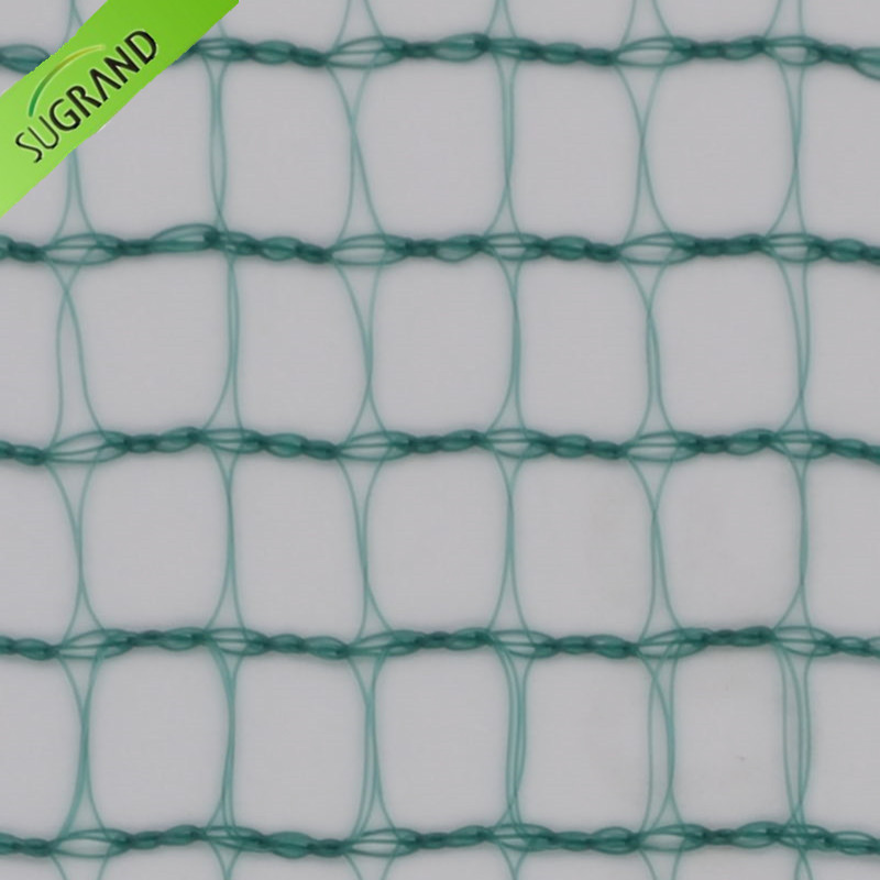 شبكة صيد حصاد مربعة خضراء 30G / M2