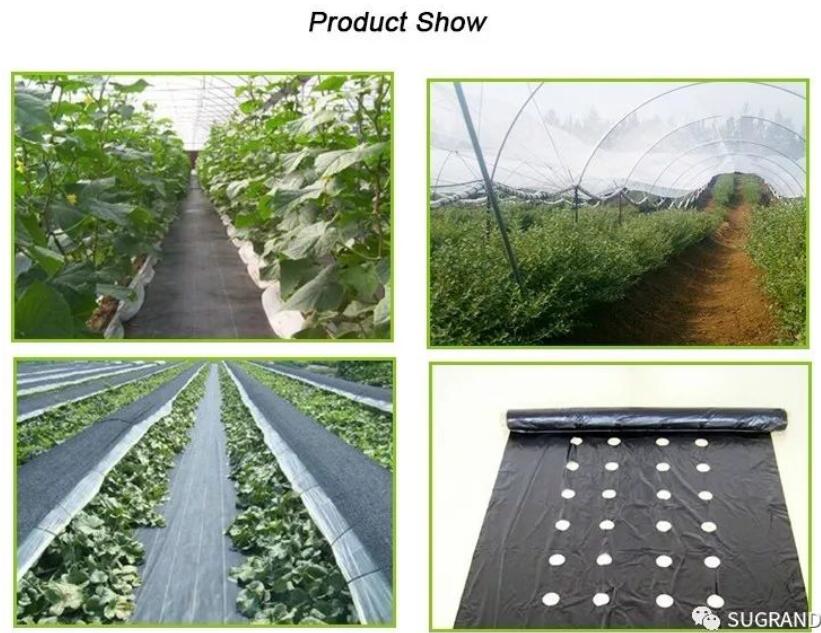 غطاء أرضي بلاستيك PP / MALLA ANTIMALEZA 