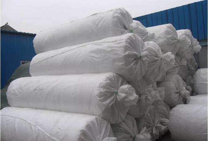 شبكة النحل 4