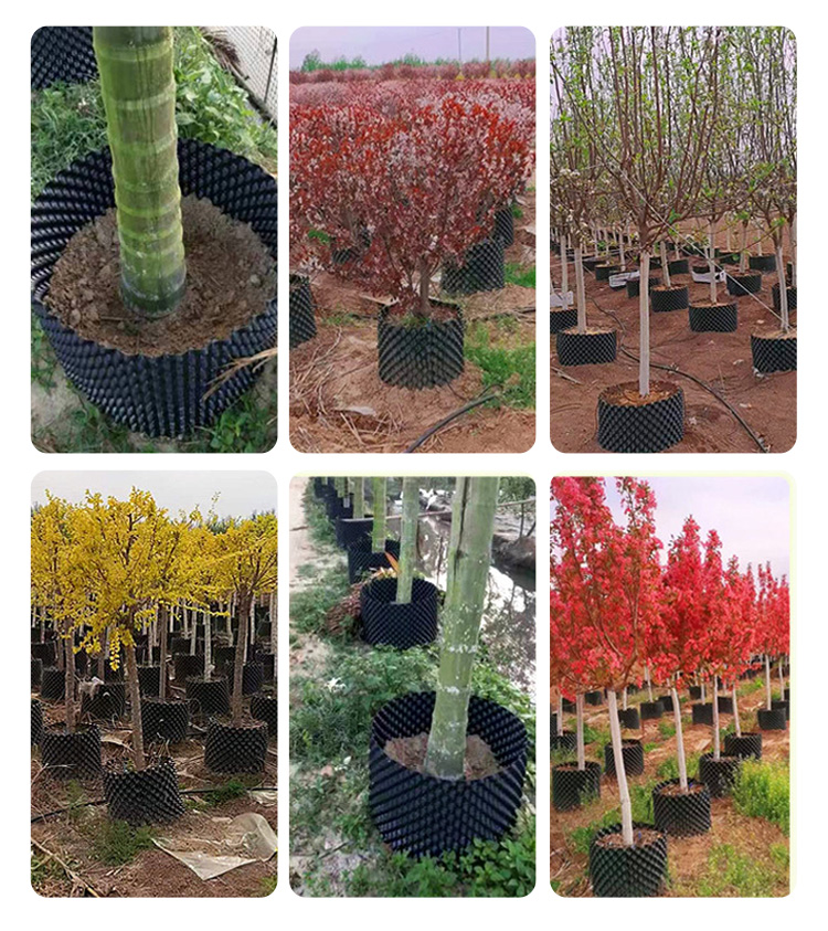 وعاء التحكم في الجذر