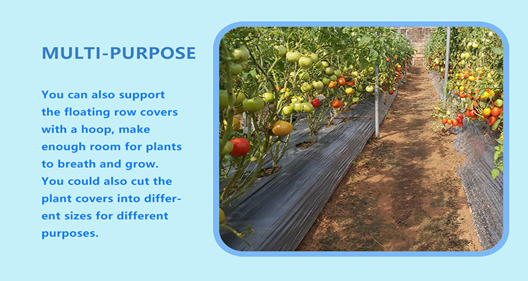 فيلم نشارة (8)