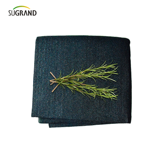 160 GSM Dark Green Black Mono Tape Net Net Net